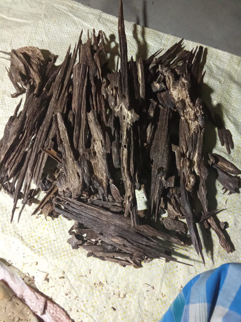 Super Agarwood Chips